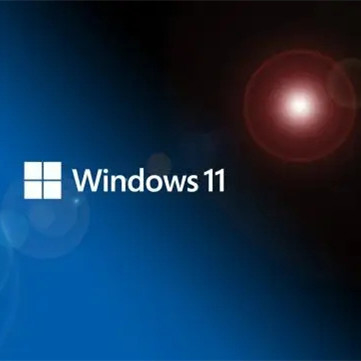 Computer Software Windows 11 Pro Workstation Key Online Download Lifetime Activation