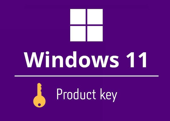 Entrega do e-mail da casa da chave do produto de  Windows 11 da língua de Muliti