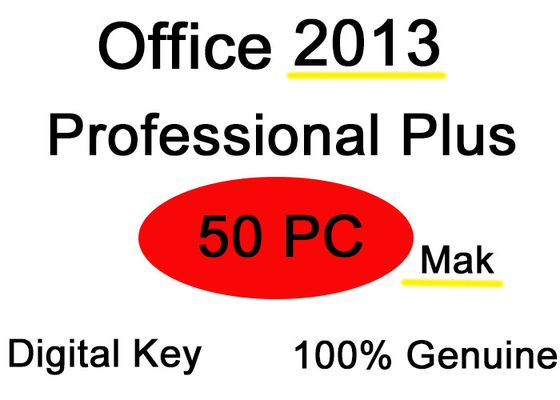Licença 2013 do usuário da chave 50 do produto da Senhora Office de Microsoft da vida do e-mail