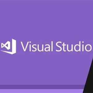 Produto 100% do código da empresa da ativação da chave de uma ativação de 20 Gb Visual Studio 2019