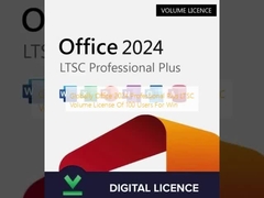 Licença por Volume LTSC do Office 2024 Professional Plus Globalmente para 100 Usuários para Windows